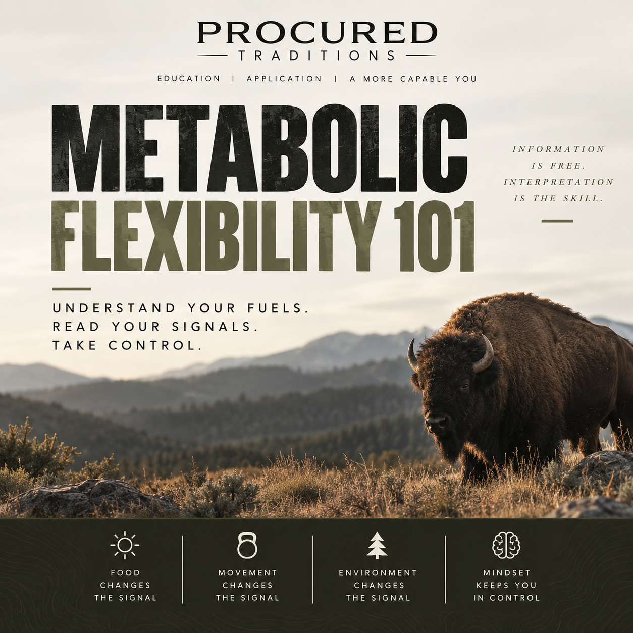 metabolic101